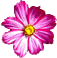 flower1.gif (3238 bytes)